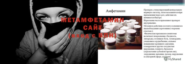 прущие грибы Богородицк