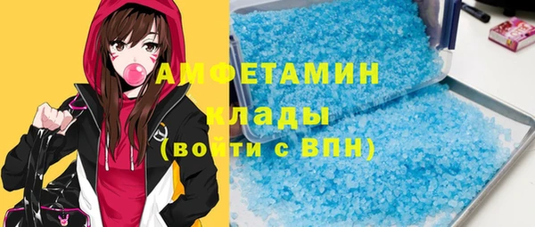 прущие грибы Богородицк