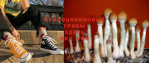 гидра Балабаново